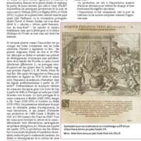 A3Magazine74Renaissance_Page_53.jpg