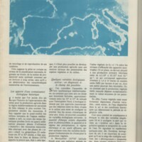 Le courrier du CNRS 31