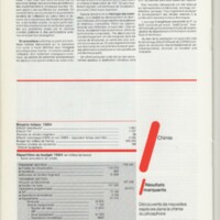 Rapport CNRS 1984