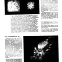 courrier cnrs 77_Page_020.jpg