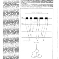 courrier cnrs 41_Page_09.jpg