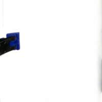 Cahiers pour l'histoire du CNRS 8