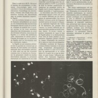 Le courrier du CNRS 31