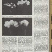 Le courrier du CNRS 27