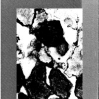 courrier cnrs 51_Page_52.jpg