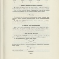 Rapport CNRS 1964-1965