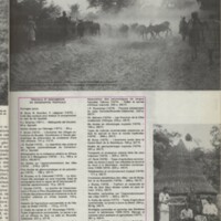 Le courrier du CNRS 30