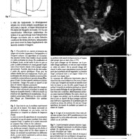 courrier cnrs 66-67-68_Page_029.jpg