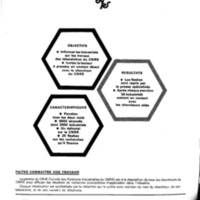 courrier cnrs 48_Page_51.jpg