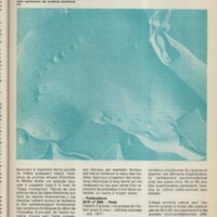 Le courrier du CNRS 25