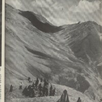 Le courrier du CNRS 29