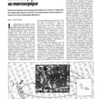 courrier cnrs 71_Page_064.jpg