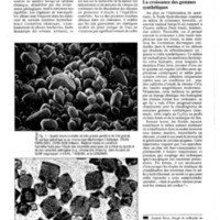 courrier cnrs 76_Page_102.jpg