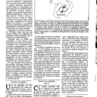 courrier cnrs 50_Page_24.jpg