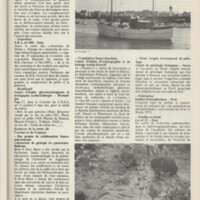 Le courrier du CNRS 14