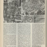 Le courrier du CNRS 26