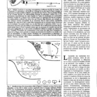 courrier cnrs 46_Page_49.jpg