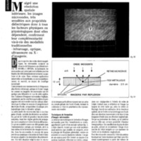courrier cnrs 66-67-68_Page_027.jpg