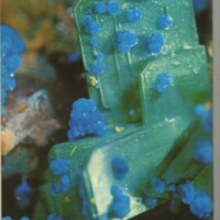 Le courrier du CNRS 10