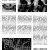 Le courrier du CNRS 1