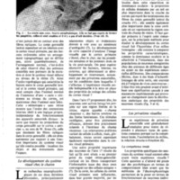 courrier cnrs 55-56_Page_37.jpg