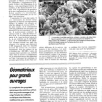 courrier cnrs 71_Page_078.jpg