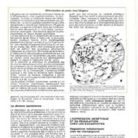 Rapport CNRS 1974-science_120.jpg
