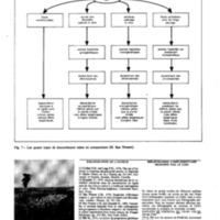 courrier cnrs 50_Page_34.jpg