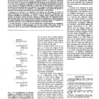 courrier cnrs 58_Page_13.jpg