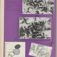 Le courrier du CNRS 11