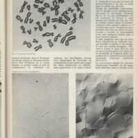 Le courrier du CNRS 4