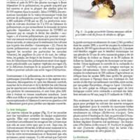 A3Magazine76Plantes_Page_19.jpg