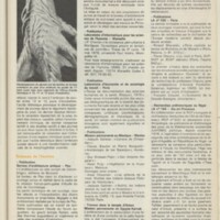 Le courrier du CNRS 29