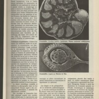 Le courrier du CNRS 32