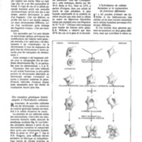courrier cnrs 41_Page_42.jpg