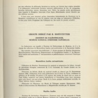 Rapport CNRS 1962-1963