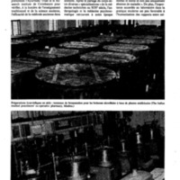 courrier cnrs 40_Page_23.jpg