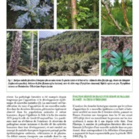 A3Magazine76Plantes_Page_22.jpg
