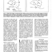 courrier cnrs 55-56_Page_66.jpg