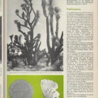 Le courrier du CNRS 10