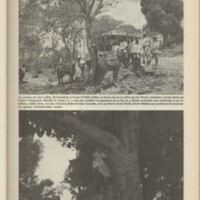 Le courrier du CNRS 36