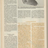 Le courrier du CNRS 33