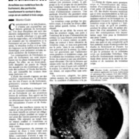 courrier cnrs 71_Page_107.jpg