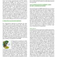 A3Magazine76Plantes_Page_50.jpg