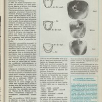 Le courrier du CNRS 25