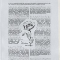 Bulletin de l'Association des anciens et des amis du CNRS n°18