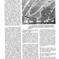 courrier cnrs 71_Page_060.jpg