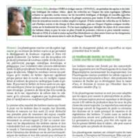 A3Magazine76Plantes_Page_27.jpg