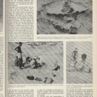 Le courrier du CNRS 8