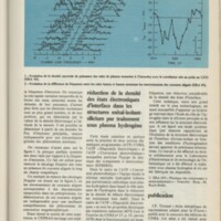 Le courrier du CNRS 31